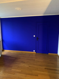 Photo de galerie - Rénovation peinture d’un séjour 