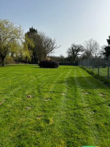 Photo de galerie - Tonte de pelouse 