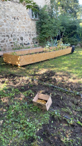 Photo de galerie - J’ai aménagé un terrain délabré, en y faisant deux grands bacs de jardinage, tailler les arbres et bêcher une surface du terrain pour y faire un potager