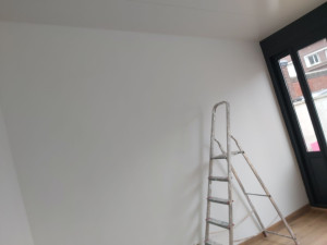 Photo de galerie - Mise en peinture  en deux couche  d'une véranda   pour une cliente de allo voisin 