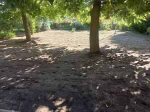 Photo de galerie - Engazonement. 











engazonement 



