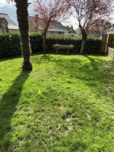 Photo de galerie - Tonte de pelouse - Débroussaillage