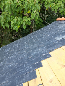 Photo de galerie - ...