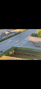 Photo de galerie - Taille 