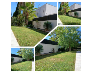 Photo de galerie - Tonte de gazon régulière 