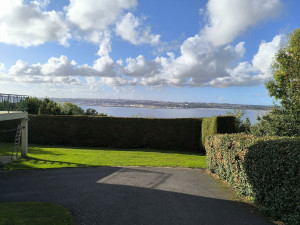 Photo de galerie - Taille de haies 