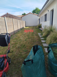 Photo de galerie - Tonte de pelouse - Débroussaillage