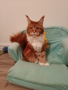 Photo de galerie - Tima