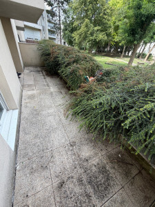 Photo de galerie - Avant taille de haie et nettoyage terrasse