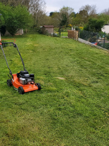 Photo de galerie - Tonte sans ramassage. 