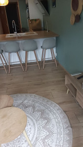 Photo de galerie - Nettoyage d'un air BNB pour état des lieux de sorti 