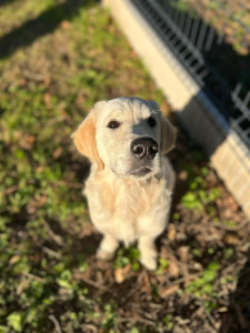 Photo de galerie - ALBA