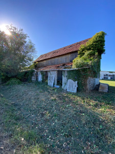 Photo de galerie - Jardinier