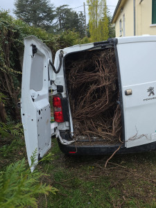 Photo de galerie - Je gère tout déchet et fin de travaux.
Jardinièr, gravats, déchets verts 