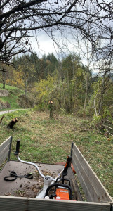 Photo de galerie - Débroussaillage d’une parcelle rempli de ronces et d’arbres morts