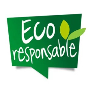 Photo de galerie - Réduction de la consommations énergétiques des équipements numériques