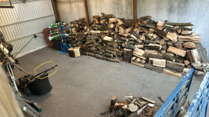 Photo de galerie - Elagage et coupe d'arbres