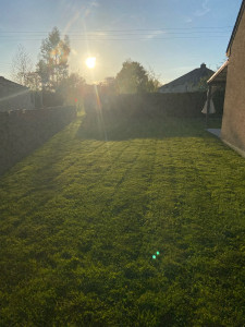 Photo de galerie - - Entretien de jardin 