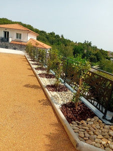 Photo de galerie - Création terrain de pétanque avec haie de photinia