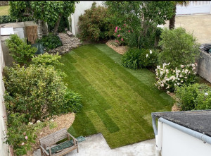 Photo de galerie - Paysagiste - Aménagement du jardin