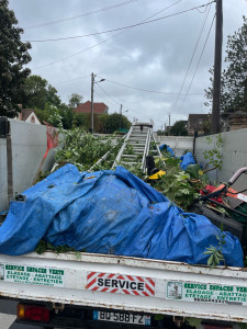 Photo de galerie - Camion, disponible pour débarrasser les végétaux