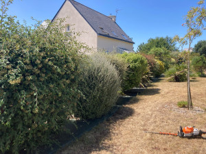 Photo de galerie - Jardinier