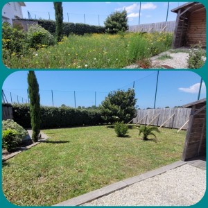 Photo de galerie - Nettoyage jardin 