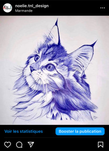 Photo de galerie - Dessin de chat au Bic bleu
