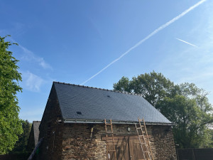 Photo de galerie - Demoussage au dalep 2100 avec dboost pour une accélération du résultats 