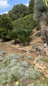 Photo de galerie - Entretient massif 