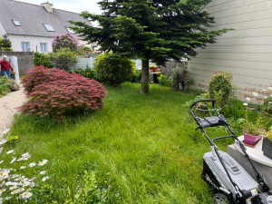 Photo de galerie - Tonte de pelouse - Débroussaillage
