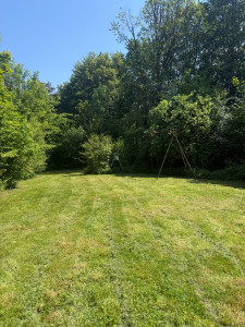 Photo de galerie - Tonte de jardin 