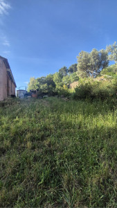 Photo de galerie - Tonte de pelouse - Débroussaillage