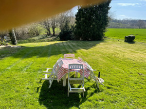 Photo de galerie - Tonte de pelouse 