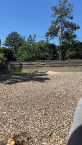 Photo de galerie - Abattage 