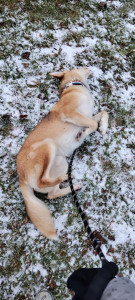 Photo de galerie - Promenade