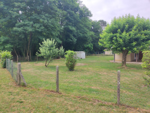 Photo de galerie - Tonte taille évacuation tout déchets 