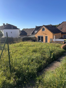 Photo de galerie - Tonte de pelouse - Débroussaillage