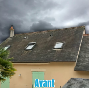 Photo de galerie - Avant nettoyage 