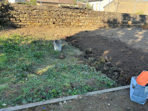 Photo de galerie - Élimination de toutes les mauvaises herbes + retourner à la bêche et passage plus tard du motoculteur 