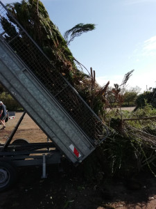 Photo de galerie - Transport déchets verts taille tonte








