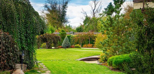 Photo de galerie - Entretien espaces verts 