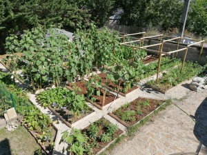 Photo de galerie - Paysagiste - Aménagement du jardin