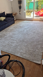 Photo de galerie - Nettoyage de canapés et de tapis