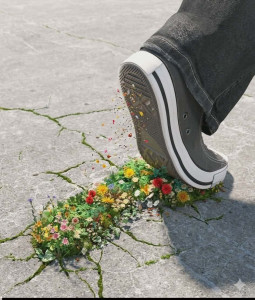 Photo de galerie - Nous plantons des rosiers et du jasmin 