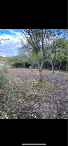 Photo de galerie - Défrichage complet d’un terrain de 600m2
