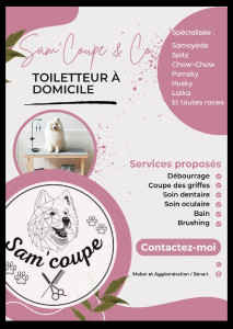 Photo de galerie - Toilettage