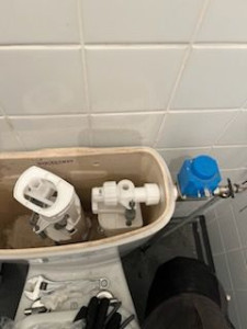 Photo de galerie - Remplacement chasse d'eau 