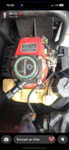 Photo de galerie - Remise en route taille haie