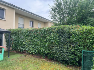 Photo de galerie - Jardinier